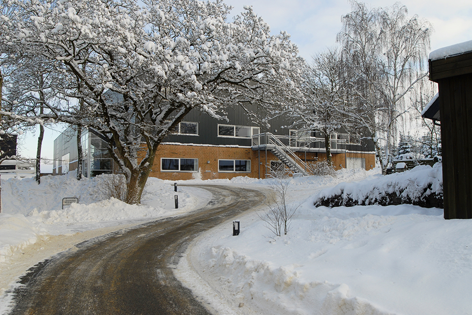 Projekt Idrætshallen Bjergsnæsskole 02